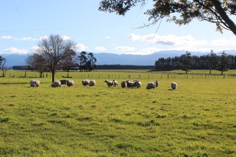 Photo of property in 368 Balfour Road, Ashley Clinton, Takapau, 4286