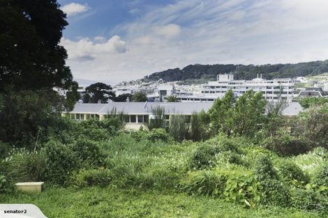 Photo of property in 3/22 Hargreaves Street, Mount Cook, Wellington, 6021