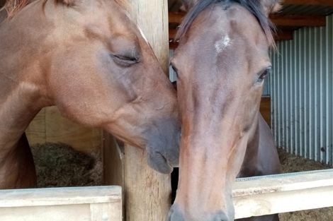 Photo of property in 64 Brown Road, Hakaru, Kaiwaka, 0573