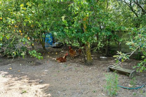 Photo of property in 438 Matahiwi Road, Matahiwi, Masterton, 5888