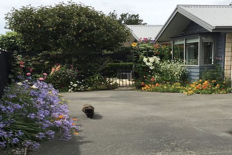 Photo of property in 7c Darroch Street, Belfast, Christchurch, 8051