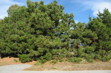 Photo of property in 7 Wicklow Street, Cromwell, 9310