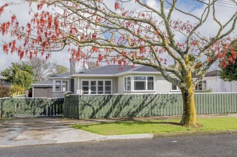 Photo of property in 51 Graham Street, Levin, 5510