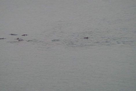 Photo of property in 27 View Road, Houghton Bay, Wellington, 6023