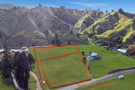 Photo of property in 80 Mania Road, Taumarunui, 3991