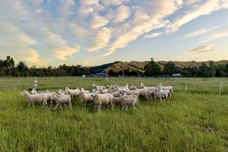 Photo of property in 136 Hardings Road, Riverlands, Blenheim, 7274