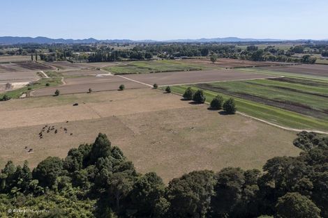 Photo of property in 69 Hawksgrip Road, Rotokauri, Hamilton, 3288