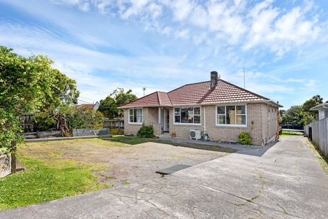 Photo of property in 101 Astley Avenue, New Lynn, Auckland, 0600