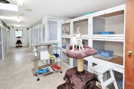 Photo of property in 9 Tui Place, Otatara, Invercargill, 9879