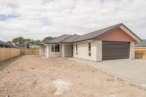 Photo of property in 17 Camberley Road, Richmond, 7020