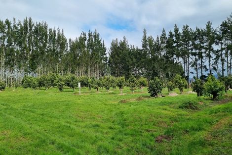 Photo of property in 146 Browns Road, Kaikohe, 0474