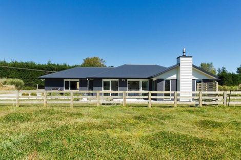 Photo of property in 541 Newbury Line, Bunnythorpe, Palmerston North, 4775