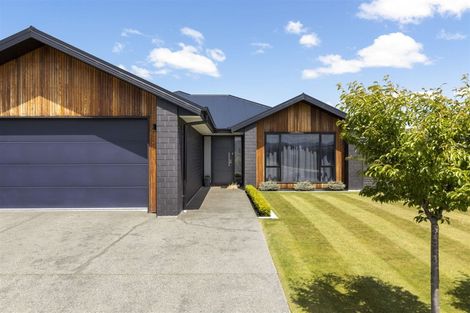 Photo of property in 9 Mustang Alley, Burleigh, Blenheim, 7201
