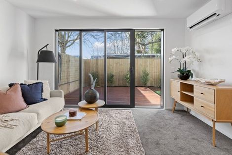 Photo of property in 19e Chatham Street, Addington, Christchurch, 8024