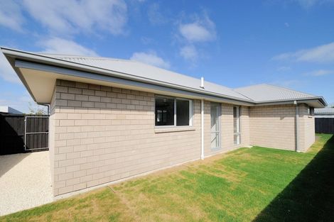 Photo of property in 53 Richill Street, Belfast, Christchurch, 8051