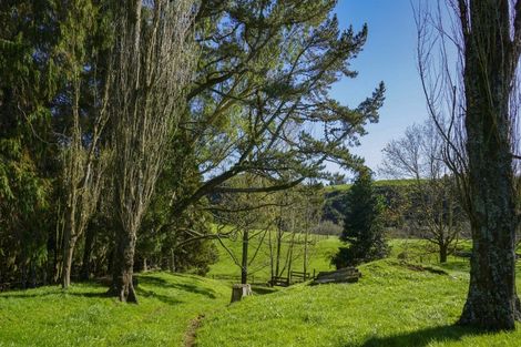 Photo of property in 118 Pukewera Road, Waihi, 3682