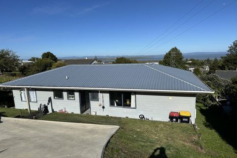 Photo of property in 107 Danby Street, Thames, 3500