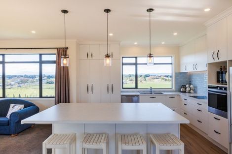 Photo of property in 33 Mount Biggs Road, Halcombe, Feilding, 4779