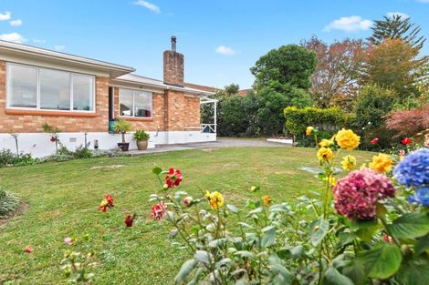 Photo of property in 155 Queen Street, Pukekohe, 2120