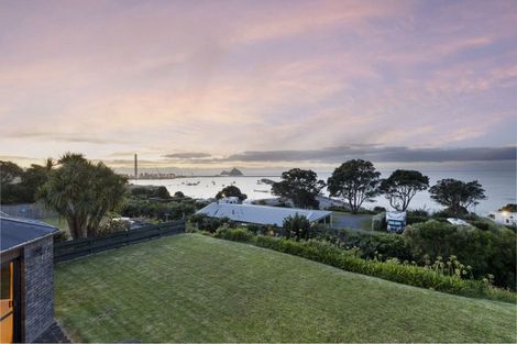 Photo of property in 24b Birdwood Avenue, Moturoa, New Plymouth, 4310