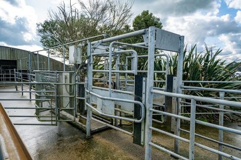 Photo of property in 99 Livingstone Road, Ngahinapouri, Hamilton, 3290