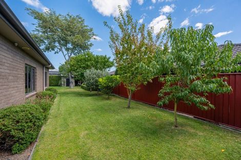 Photo of property in 103 Northwood Avenue, Mahora, Hastings, 4120