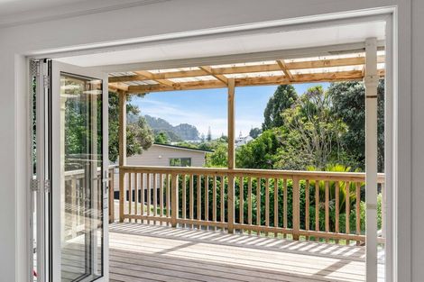 Photo of property in 234 Russell Bruce Place, Onemana, Whangamata, 3691