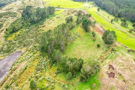 Photo of property in 218 Hangapipi Road, Rotowaro, Huntly, 3771