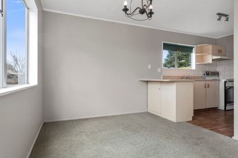 Photo of property in 15 Buchanan Street, Matamata, 3400