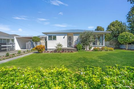 Photo of property in 98 Princes Street, Netherby, Ashburton, 7700