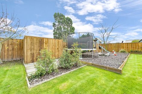 Photo of property in 46 Sunline Avenue, Lincoln, 7608