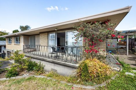 Photo of property in 66 Hazelwood Avenue, Dinsdale, Hamilton, 3204