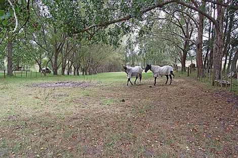 Photo of property in 87 Settlement Road, Kaiwaka, 0573