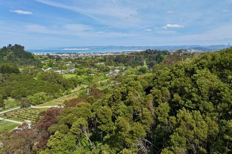 Photo of property in 58a Dryden Street, Whataupoko, Gisborne, 4010