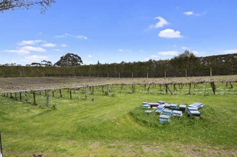 Photo of property in 28 Lindemann Road, Katikati, 3170