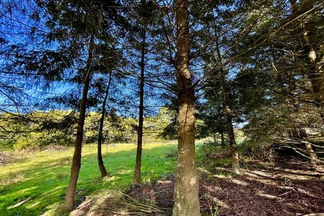 Photo of property in 88 Maytown Road, Waimate, 7978