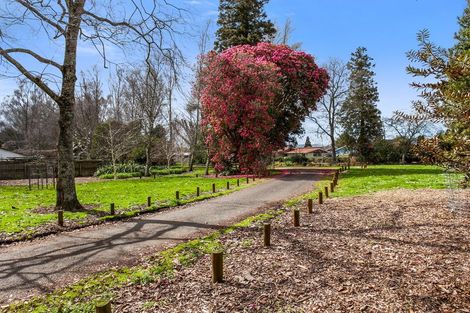 Photo of property in 16 Fitzgerald Avenue, Matamata, 3400