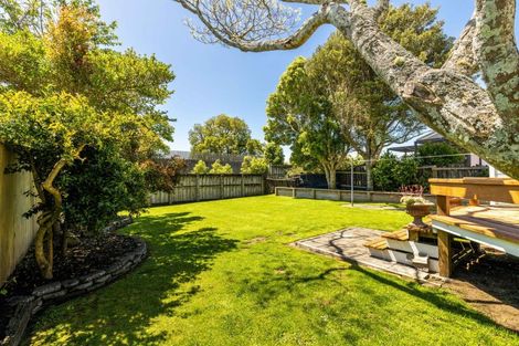 Photo of property in 131 Lemon Street, New Plymouth, 4312