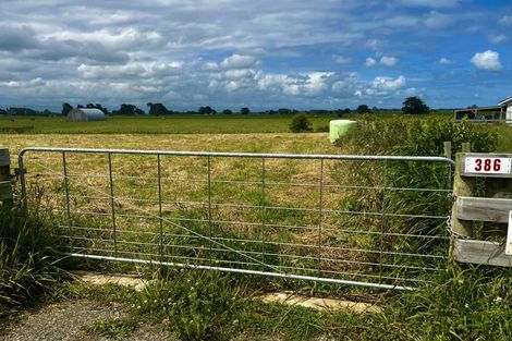 Photo of property in 386 Rongotea Road, Rongotea, 4476