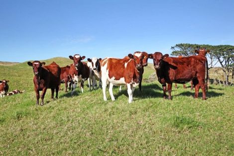 Photo of property in 569 Karioitahi Road, Lake Puketi, Waiuku, 2683