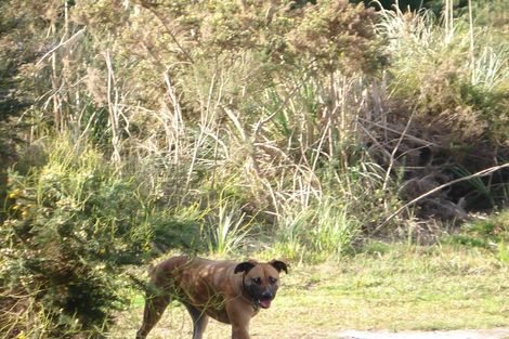 Photo of property in 336 Matai Bay Road, Karikari Peninsula, Kaitaia, 0483