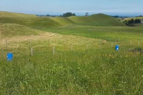 Photo of property in 610 Dover Road, Okato, New Plymouth, 4374