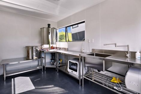 Photo of property in 371 Esdaile Road, Whakamarama, Tauranga, 3180