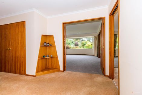 Photo of property in 39a Mckenzie Street, Geraldine, 7930