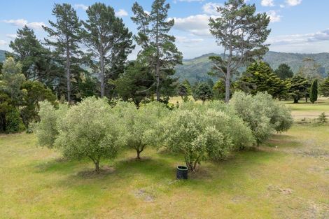 Photo of property in 171 Rarangi Road, Rarangi, Blenheim, 7273