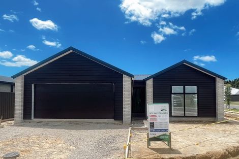 Photo of property in 38 Hammick Crescent, Pyes Pa, 3112