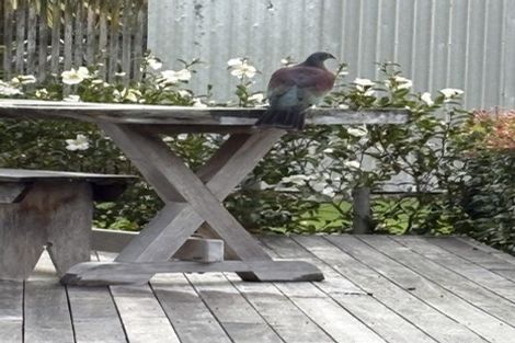 Photo of property in 969 Kaipara Flats Road, Kaipara Flats, Warkworth, 0984