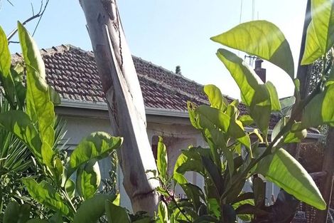 Photo of property in 40 Judea Road, Judea, Tauranga, 3110