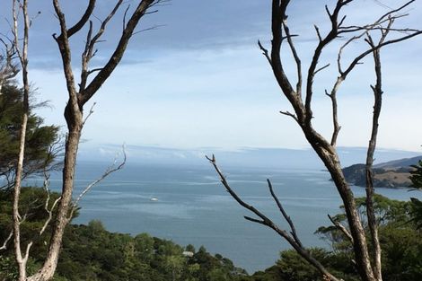 Photo of property in 89 Wharf Road, Colville, Coromandel, 3584