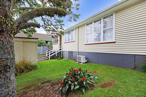 Photo of property in 42 Banks Street, Marfell, New Plymouth, 4310
